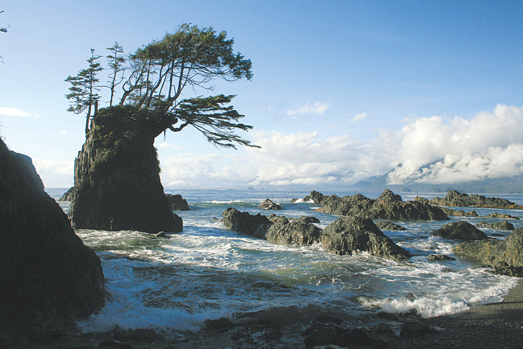202 Kyuquot Sound Kayaking and Boating Map