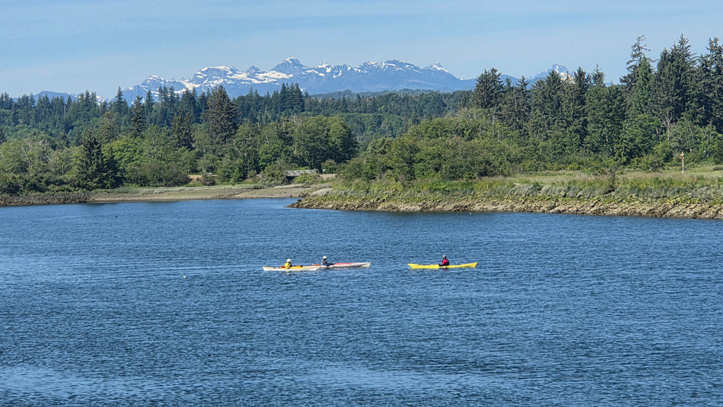 Paddle Canada Sea Kayak Level-1 Skills