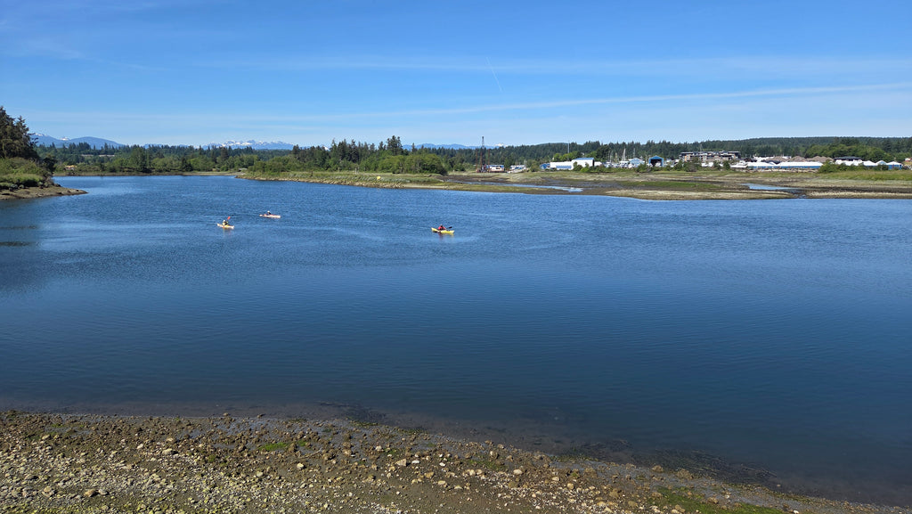 Paddle Canada Sea Kayak Level-1 Skills