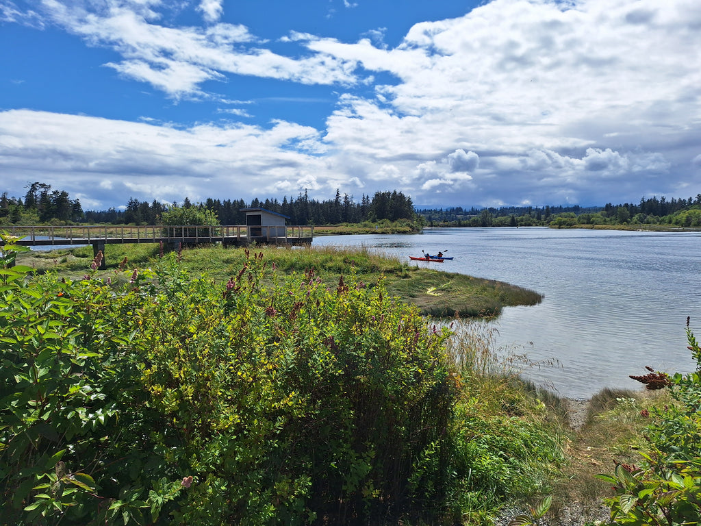Paddle Canada Basic Kayak Skills