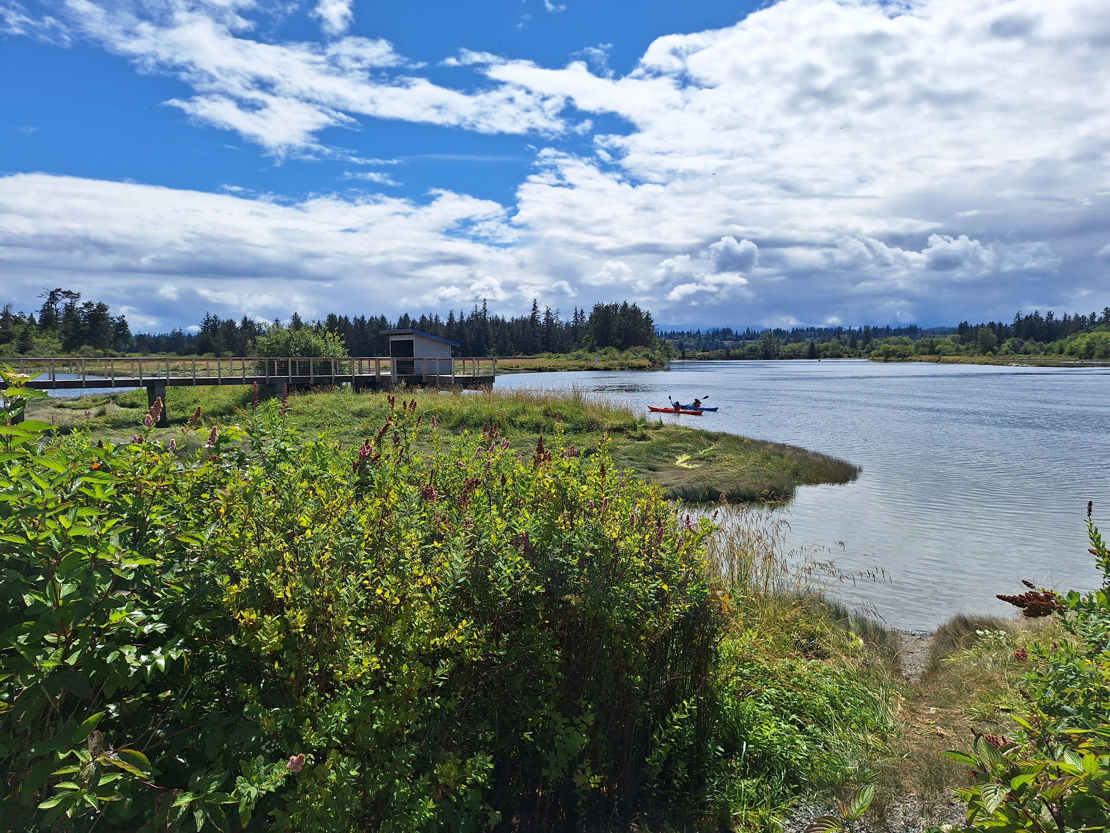 Paddle Canada Basic Kayak Skills