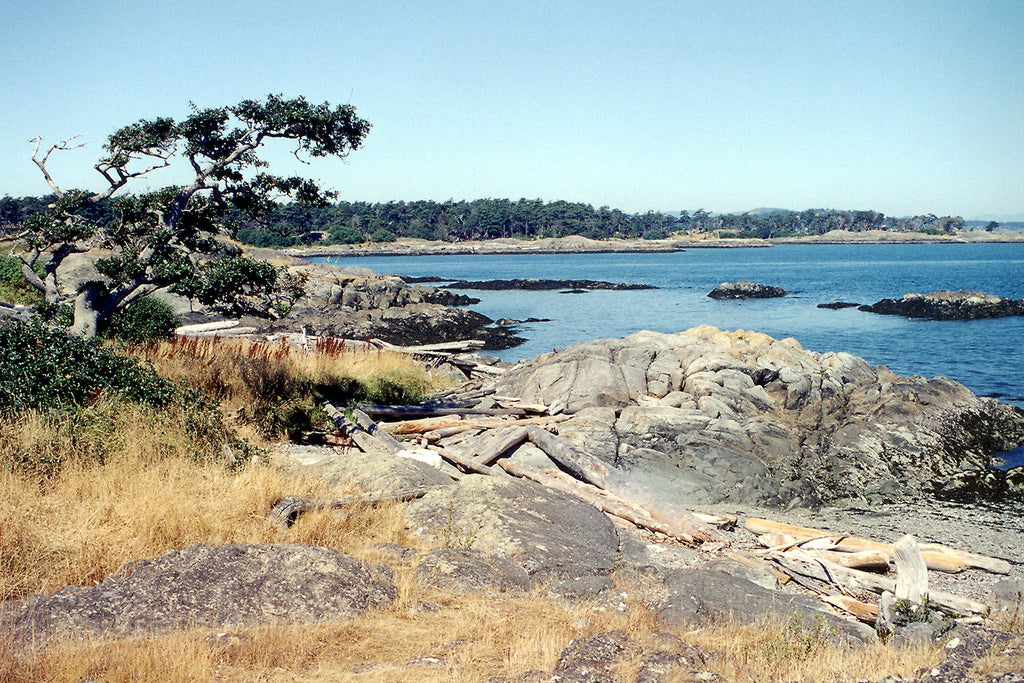 215 Victoria-Sooke Kayaking and Boating Map